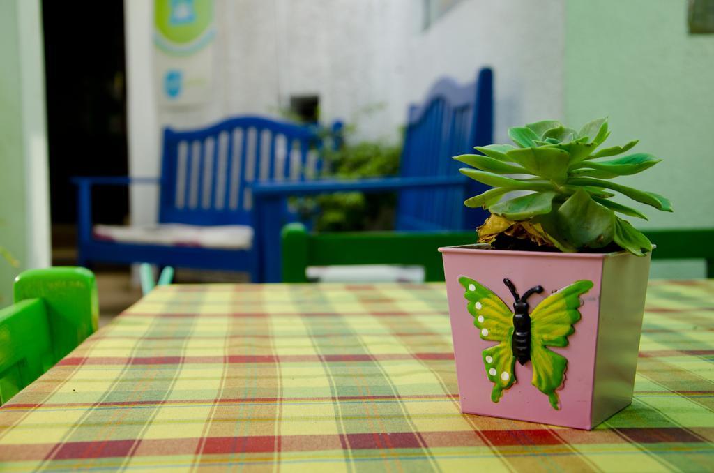 Hostal Los Aventureros Санта-Крус-де-ла-Сьерра Экстерьер фото